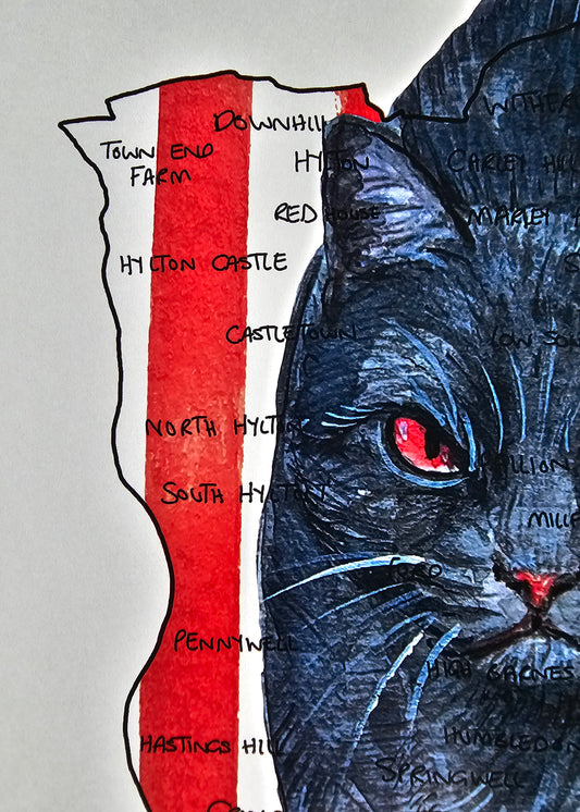 Sunderland AFC Football Club Trivet