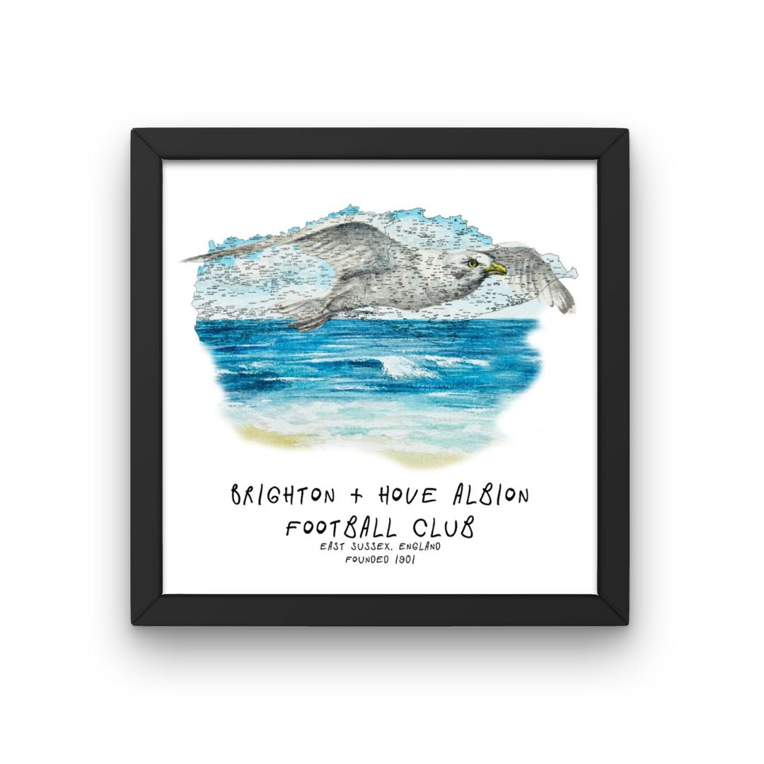 Brighton and Hove Albion Football Club Print