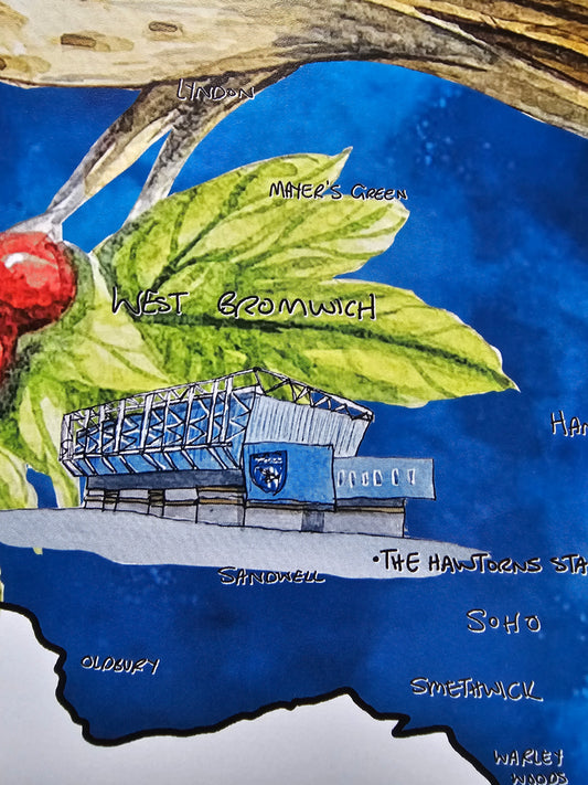 West Bromwich Albion Football Club Print (New Edition)