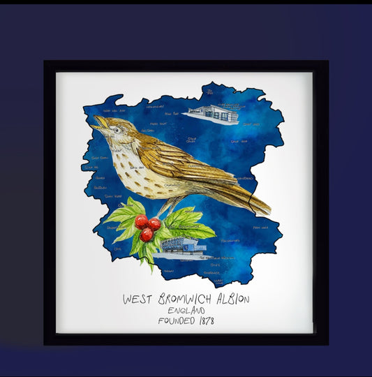 West Bromwich Albion Football Club Print (New Edition)
