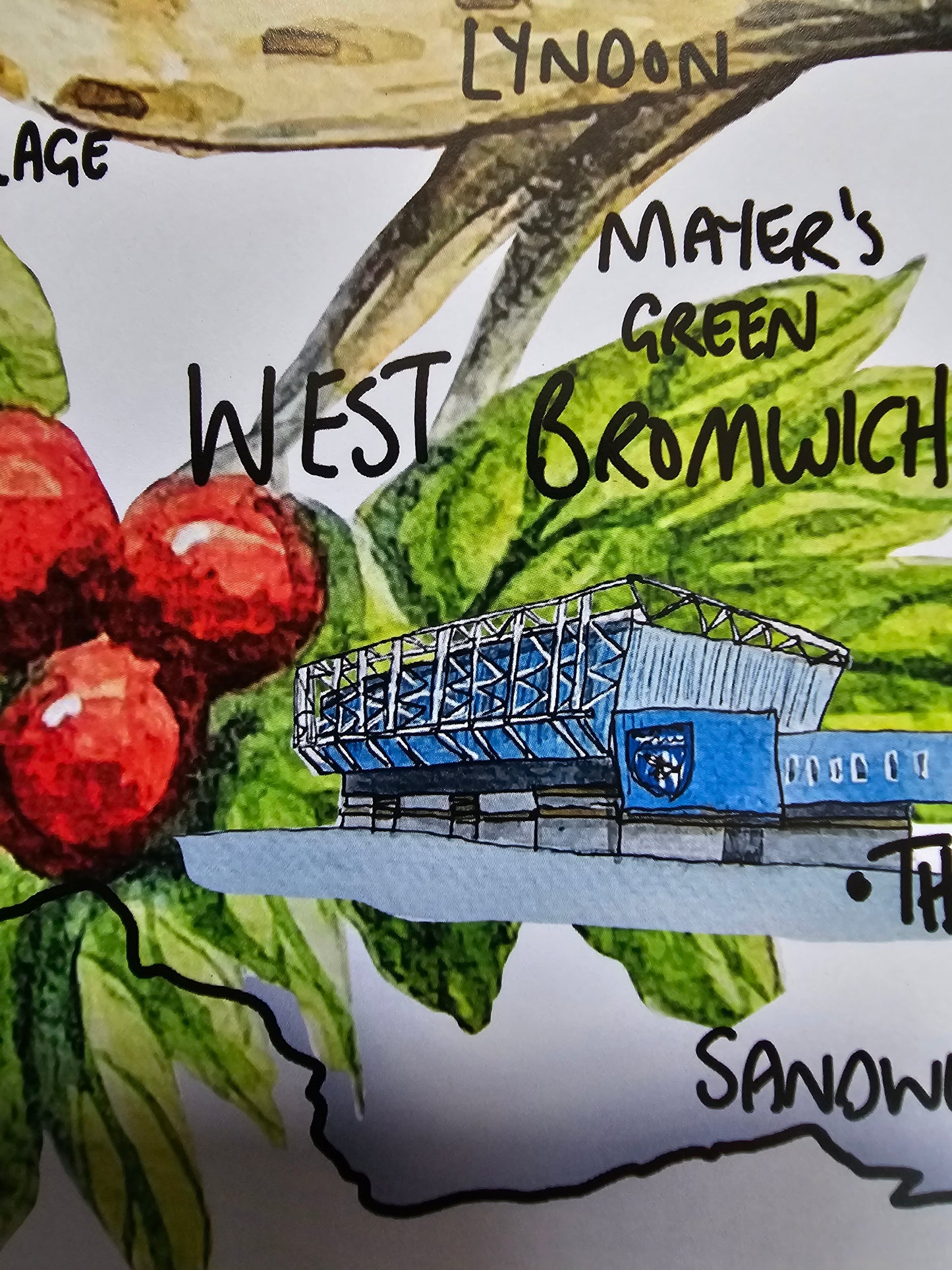 West Bromwich Albion Football Club Print