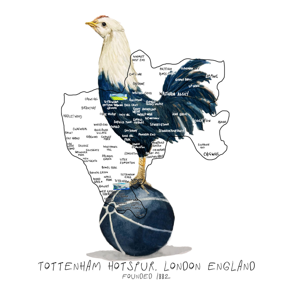 Tottenham Hotspur Football Club Print (New Edition)
