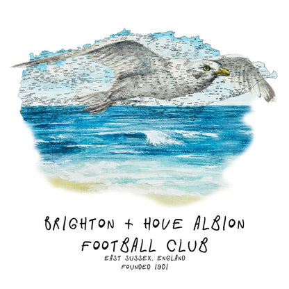 Brighton and Hove Albion Football Club Print